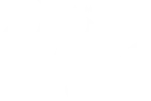 Camarote Villa 2027